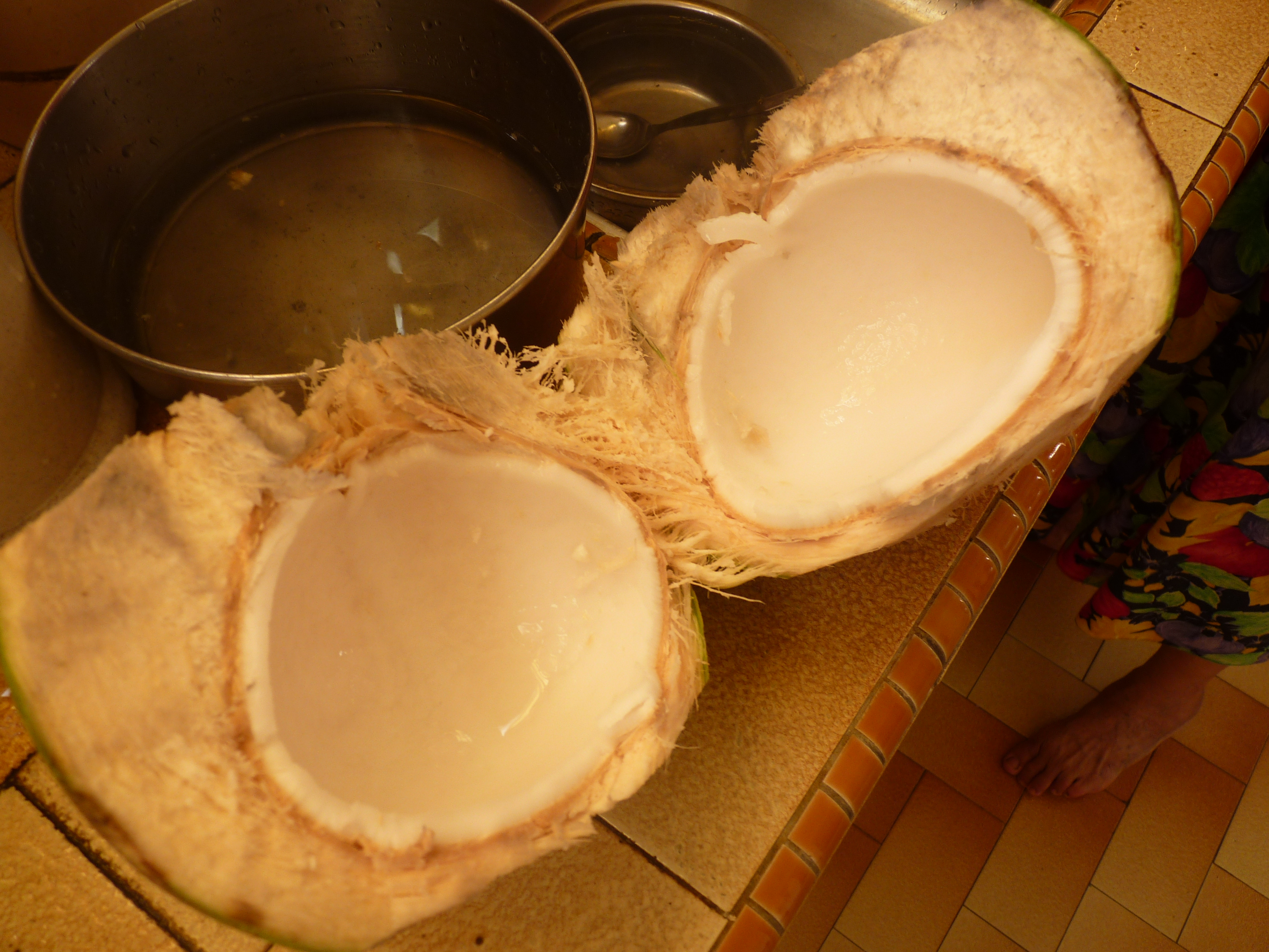 coconuts2