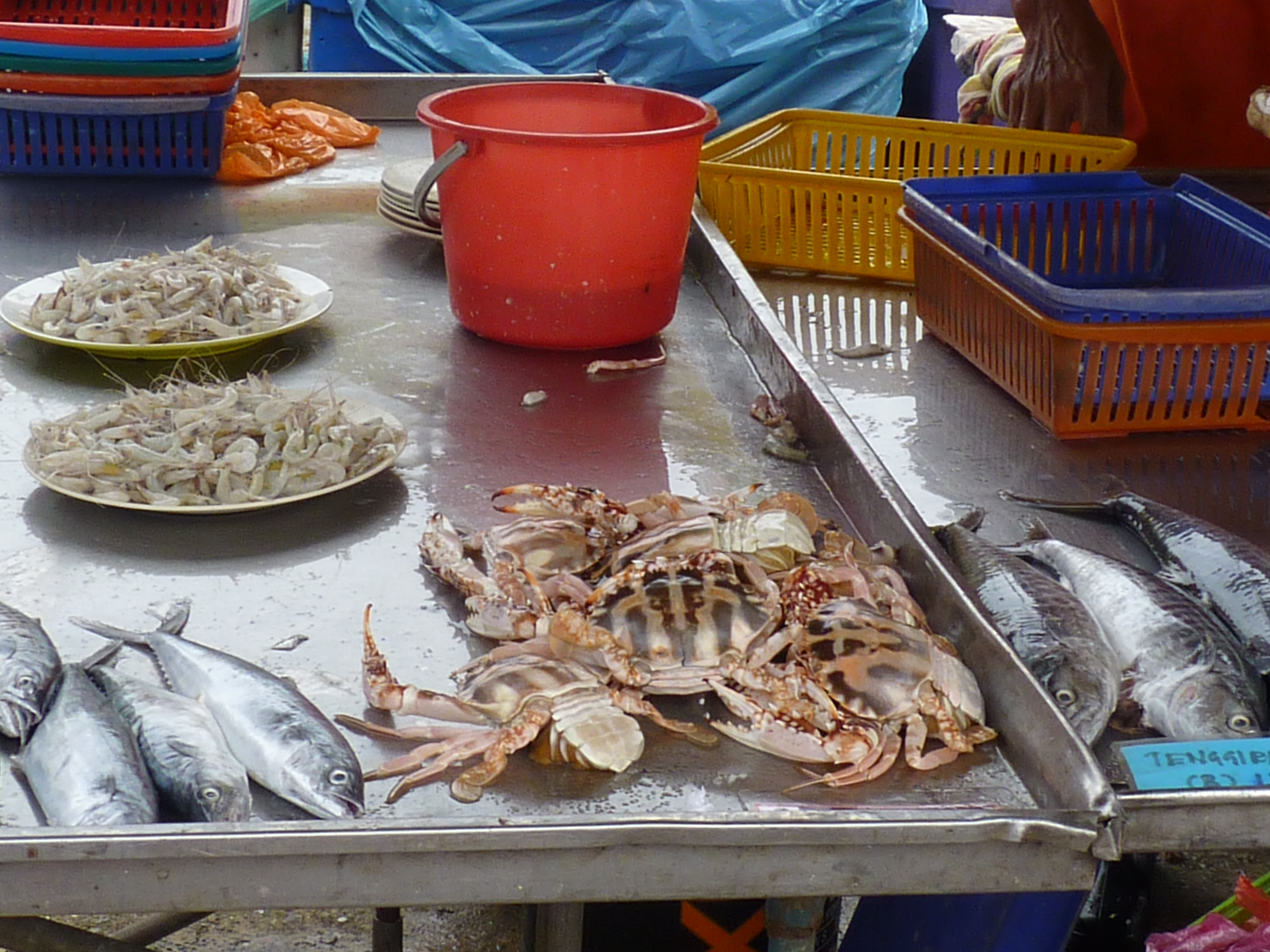 crabs
