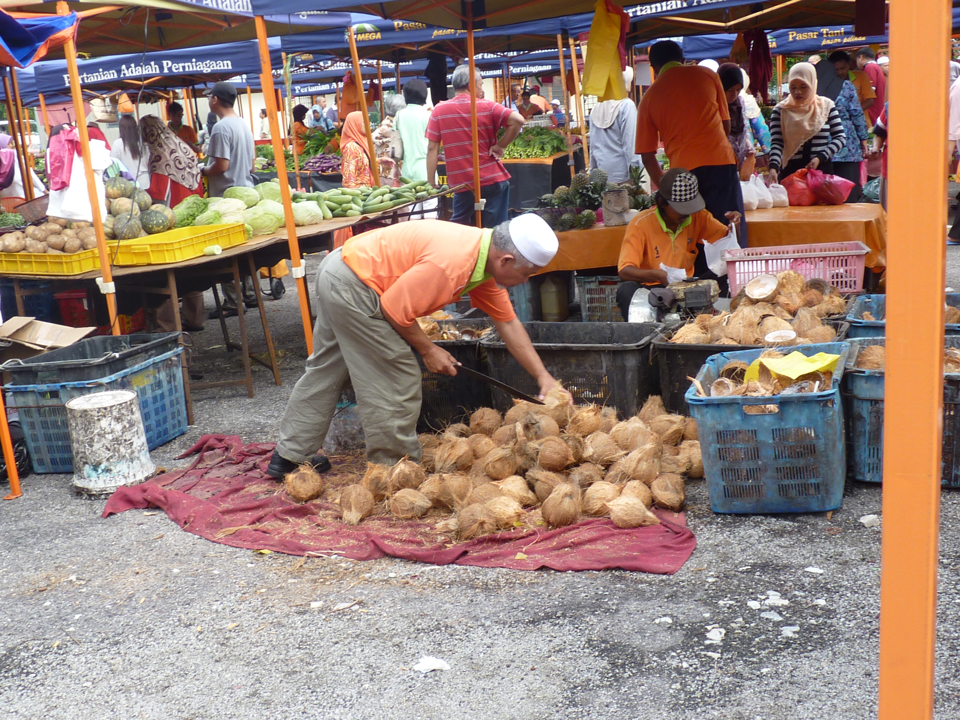 opening coconuts