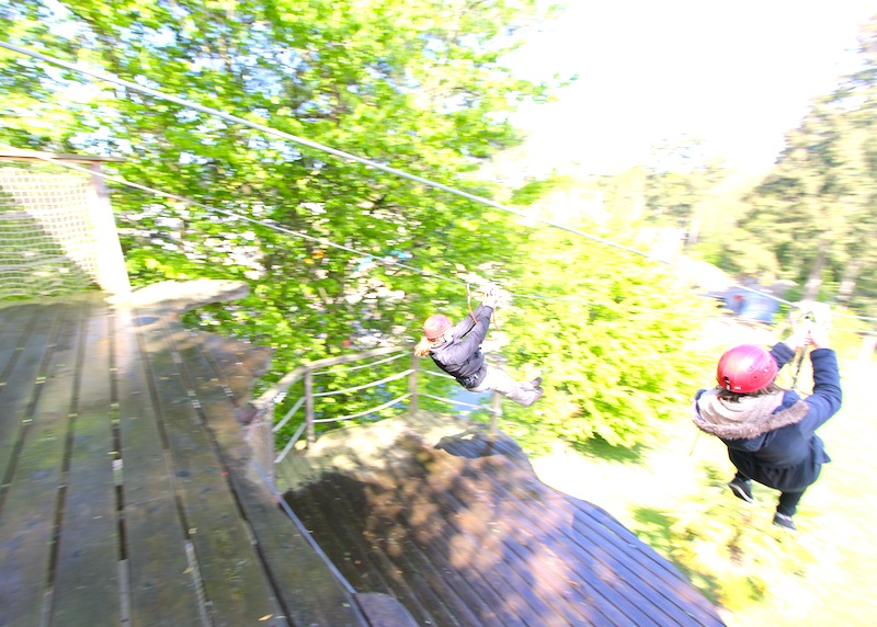 crédit photo Domaine des Ormes