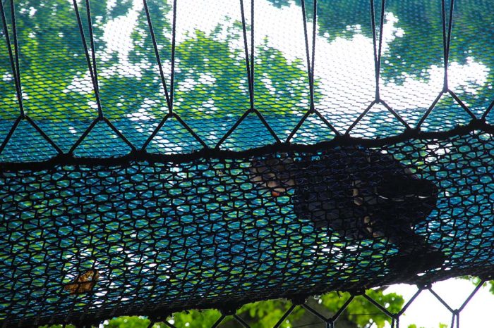 Au Char A Bancs Ferme Auberge A Plelo Dans Les Cotes D Armor Koalisa