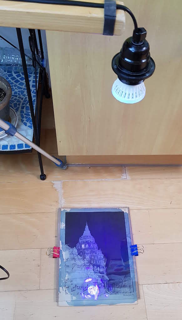 DIY comment réaliser un cyanotype à la maison Koalisa