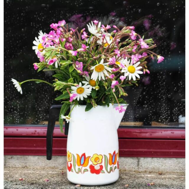 Cueillir des fleurs sous la pluie. #landevennec #finistere #presquiledecrozon #leboutdumonde #pennarbed #bretagne #brittany #wildflowers #igflowers #koalisasflowers #fleurs #flowers #bouquetbreton #cafetiereemaillee #enamelledcoffeepot #vintage #retro #brocante