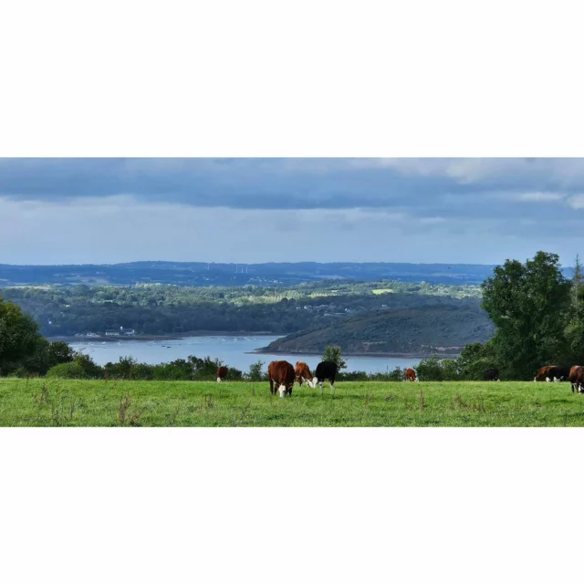 Balade à  Kerberon entre deux averses. #kerberon #landevennec ##finistere #pennarbed #leboutdumonde #Bretagne #brittany #radedebrest