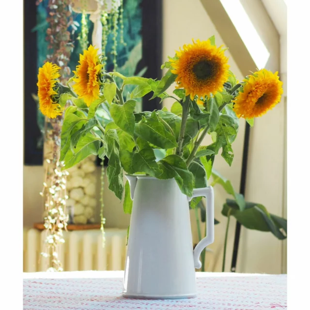 Fluffy sunflowers. Tournesols "nounours" m'a-t-on dit... #sunflower #tournesol #tournesolnounours #igflowers ##koalisasflowers #yellow